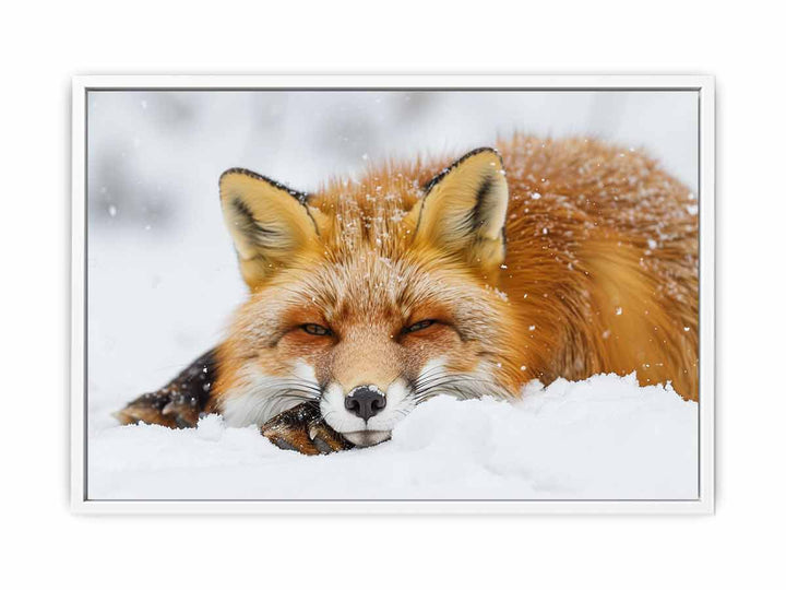Fox  Painting