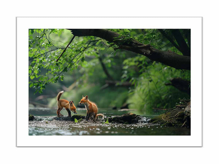 Two Baby Red Foxes framed Print