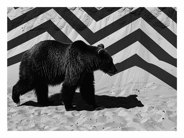 Black Bear  Art Print