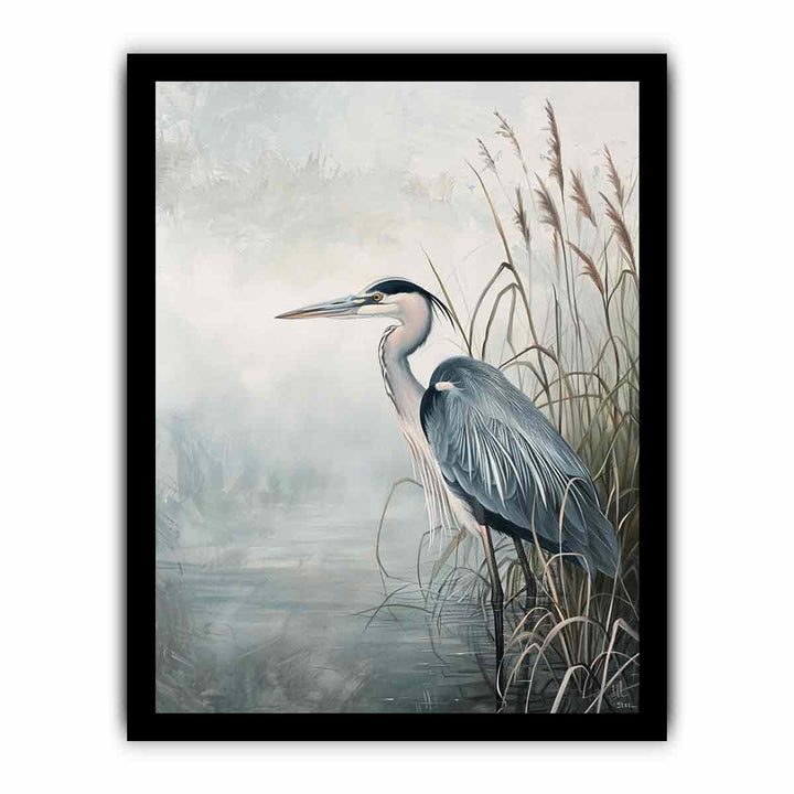 Grey Heron framed Print