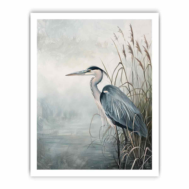 Grey Heron framed Print