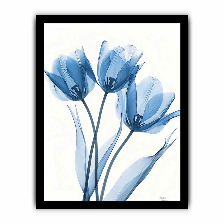 Three Tulips framed Print
