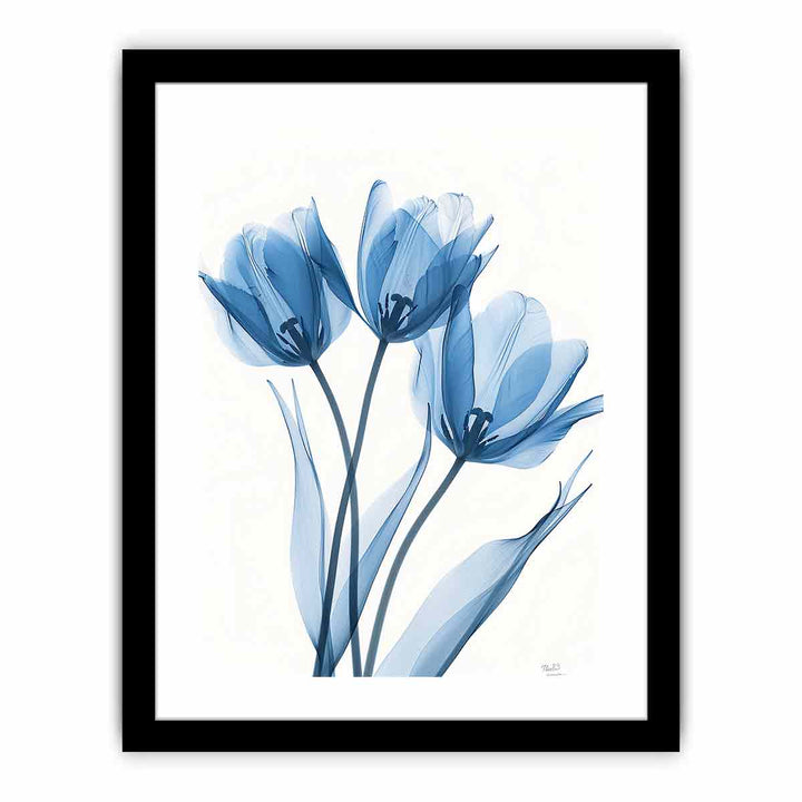 Three Tulips framed Print