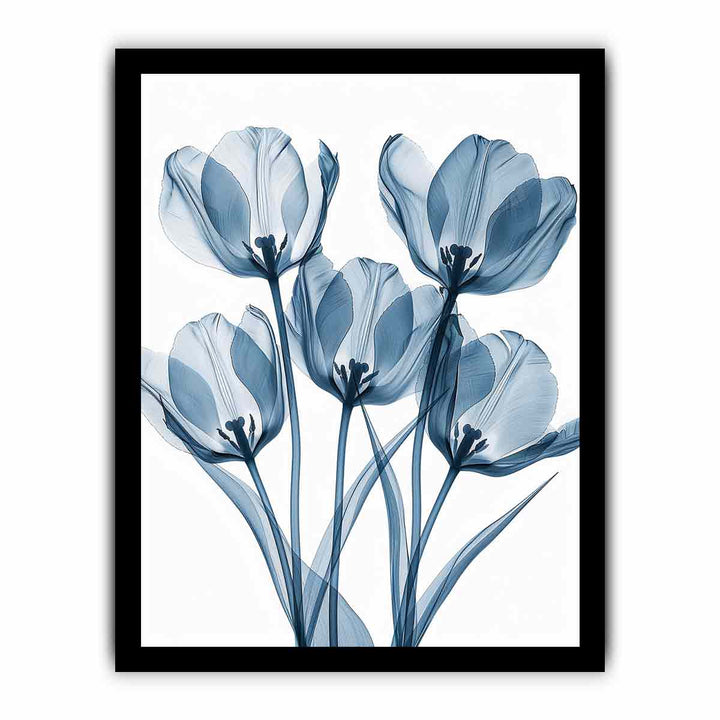 Five Tulips framed Print