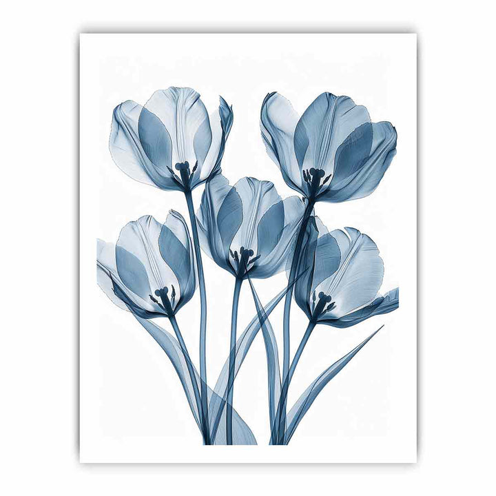Five Tulips framed Print