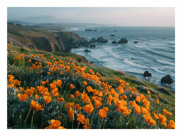 California Poppies Pacific Coast  Art Print