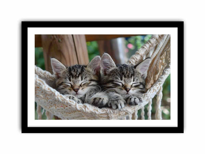 Cute Tabby Kittens framed Print