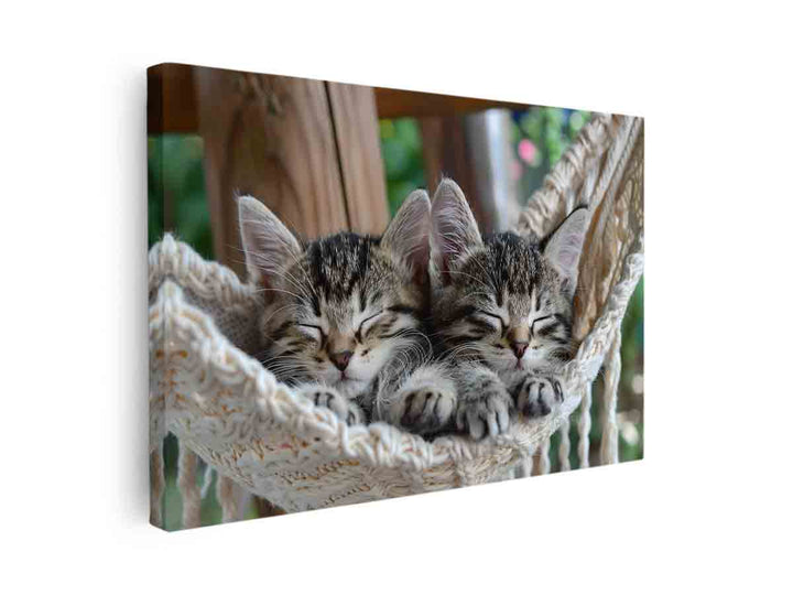 Cute Tabby Kittens canvas Print