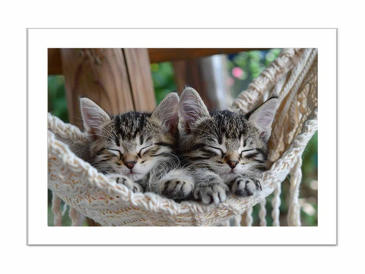 Cute Tabby Kittens framed Print