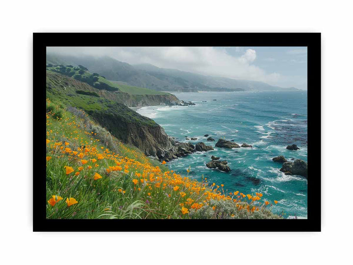 Poppies Along The Pacific Coast framed Print