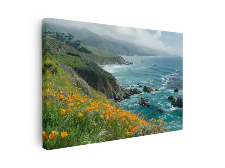 Poppies Along The Pacific Coast canvas Print