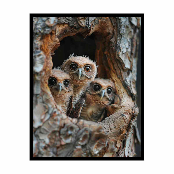 Three Owls canvas Print