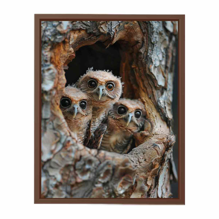 Three Owls Painting