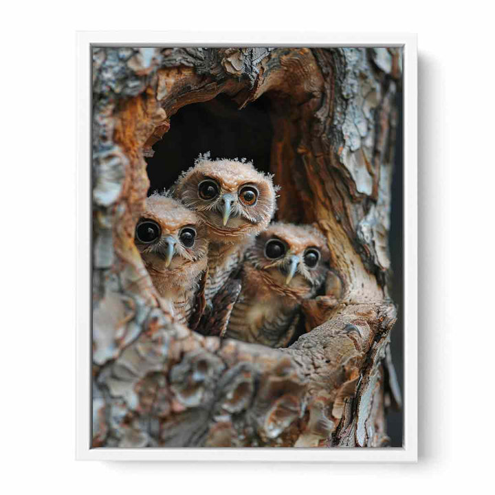 Three Owls Painting