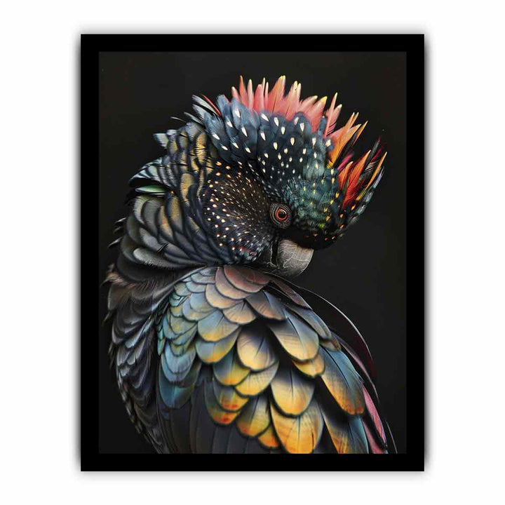 Cockatoo Rainbow framed Print