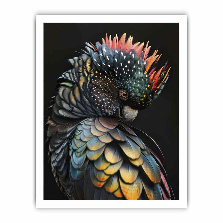 Cockatoo Rainbow framed Print