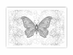 Color Me Butterfly Art framed Print
