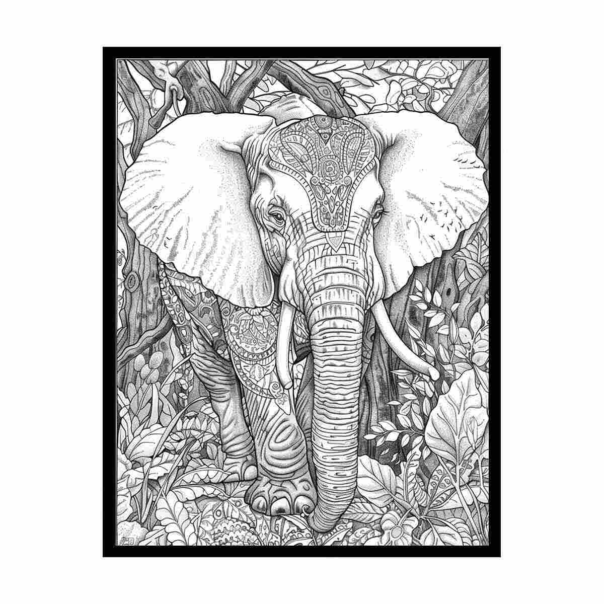 Color Me Elephant  1 canvas Print