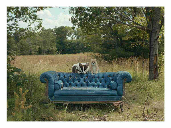 Blue Couch  Art Print