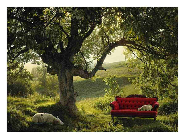 Red Couch  Art Print