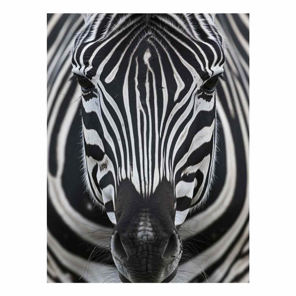  Zebra  Nearby Art Print