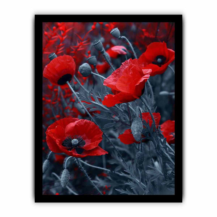 Red  Poppies framed Print