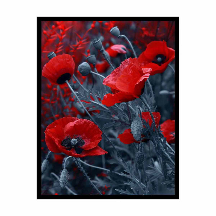 Red  Poppies canvas Print