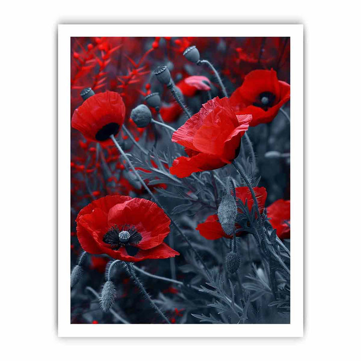 Red  Poppies framed Print
