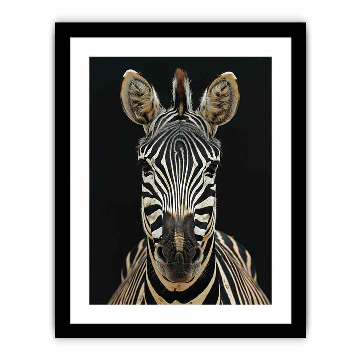 Zebra framed Print