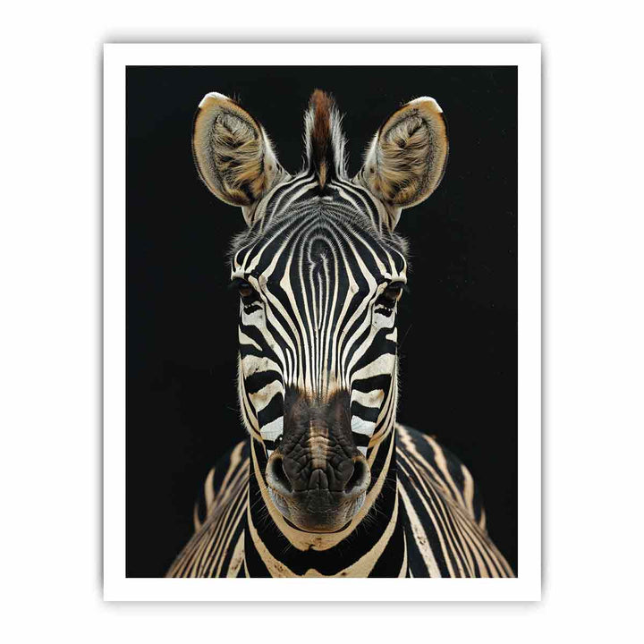 Zebra framed Print