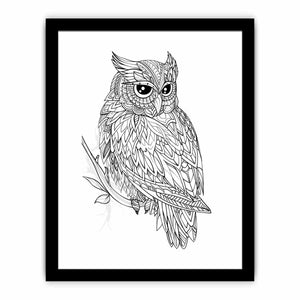 Colour Me  Owl framed Print