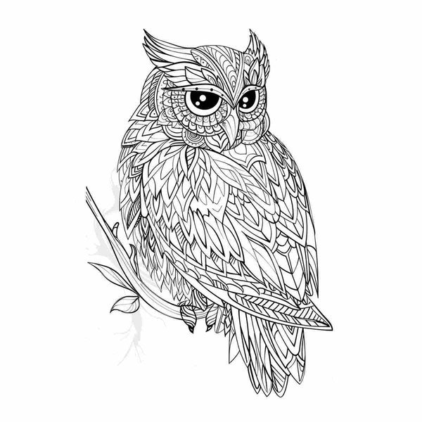 Colour Me  Owl Art Print