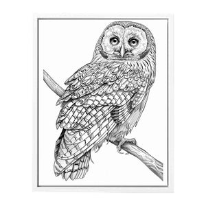Color Me Owl Painting