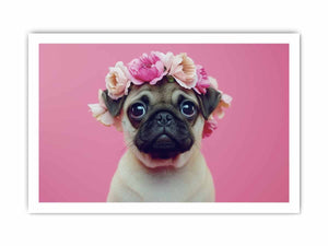 Pug Dog  framed Print