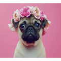 Pug Dog  Art Print