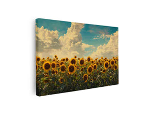 Sunflower field canvas print with golden flowers and blue sky for cheerful living room decor.