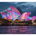 Neon opera house wall art for bold contemporary living room decor.