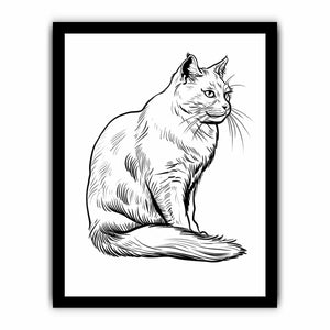Colour me  Cat framed Print
