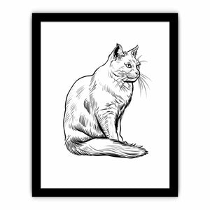 Colour me  Cat framed Print