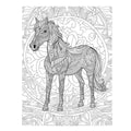 Colour me Horse Art Print