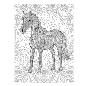 Colour me Horse Art Print