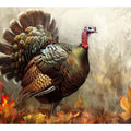 Turkey Painting Art Print