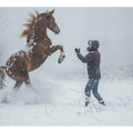 Dramatic horse in snow photography wall art for rustic modern living room decor.