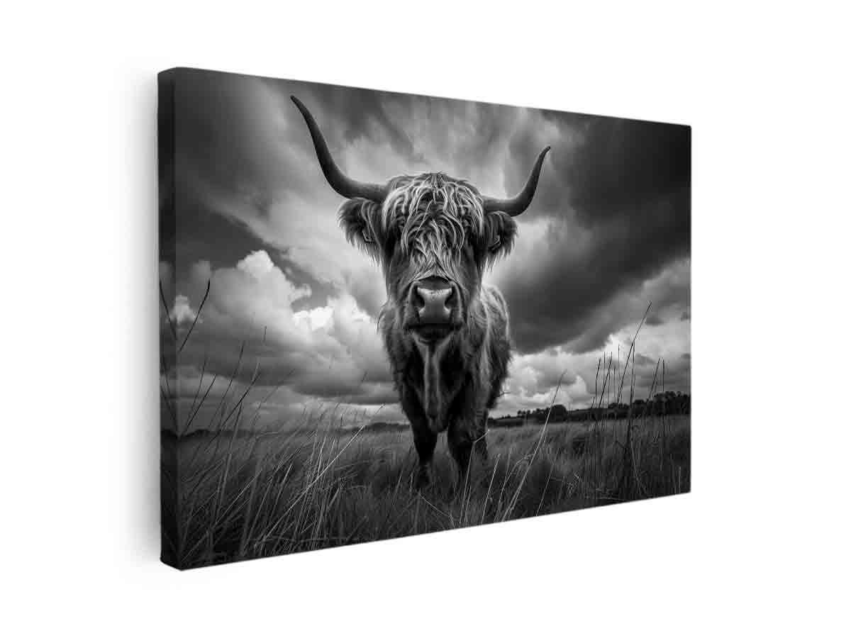 Minimal black and white Highland cow portrait canvas print for modern farmhouse living room decor.
