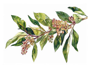 Watercolor botanical branch canvas print with green leaves and berries for minimalist bedroom decor.