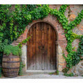 Wooden Door Art Print