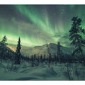 Northern Lights Art Print