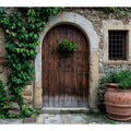 Vintage Door Art Print