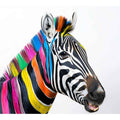 Colorful zebra portrait canvas art for bold modern kids room or office decor.