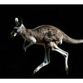 Dramatic kangaroo wildlife canvas art on black background for modern office decor.
